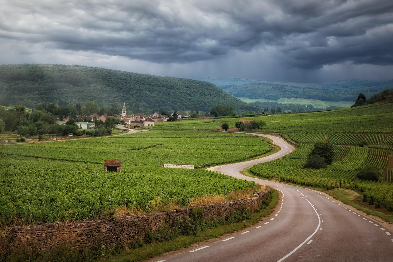 Burgundy Wine, Explained Simply