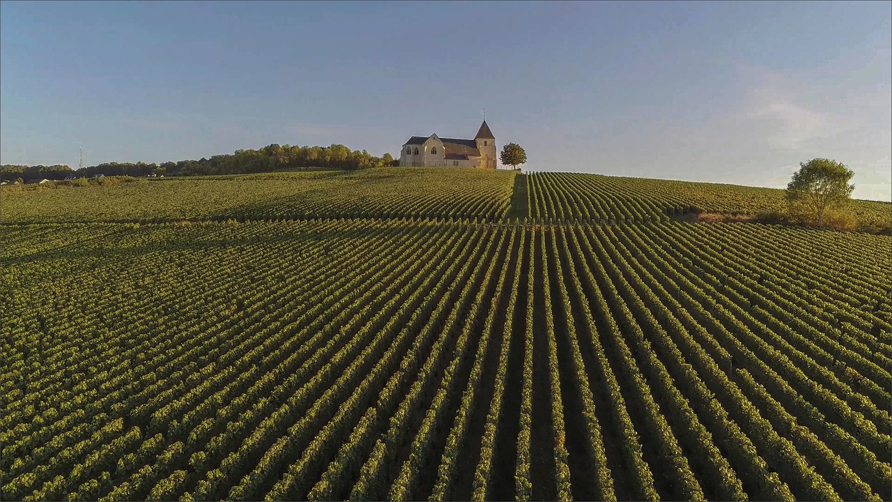 Champagne: What Makes It Different