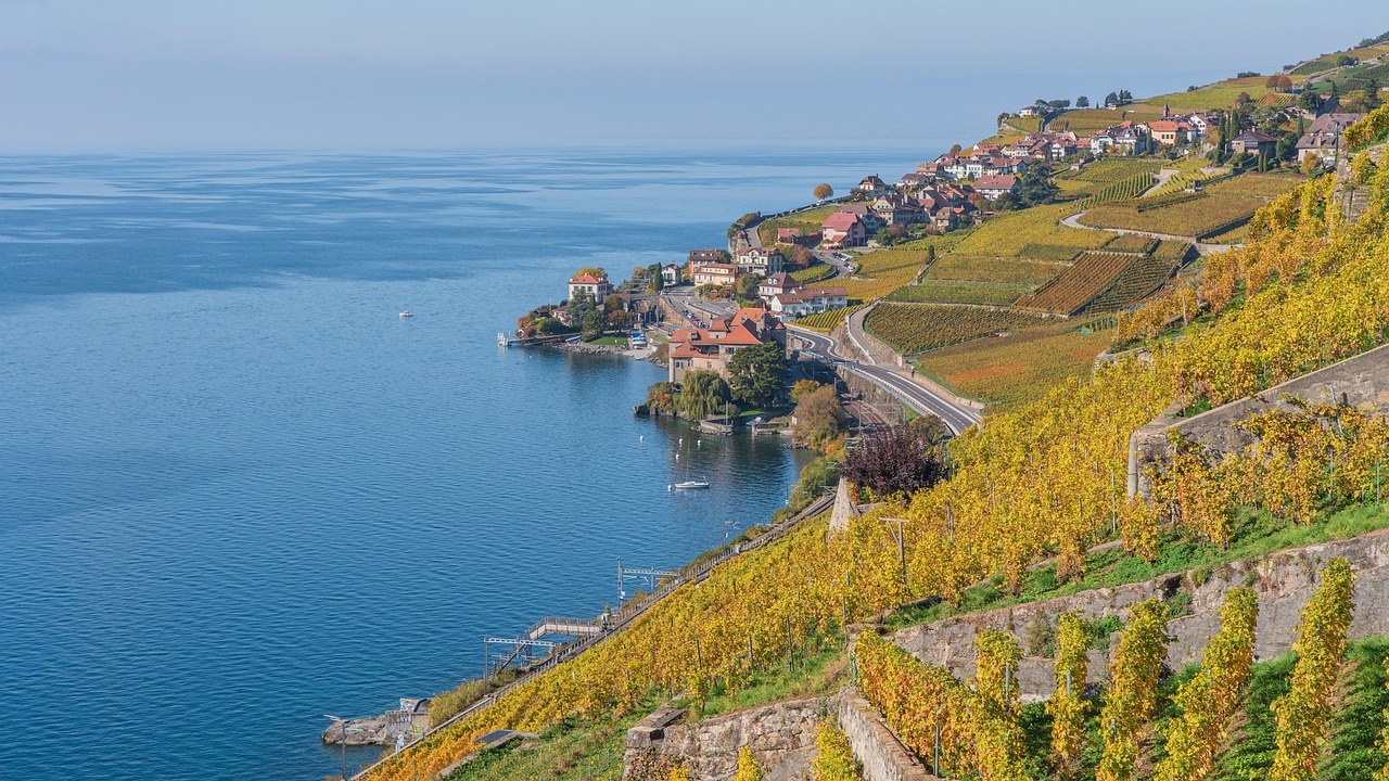 Chasselas: Switzerland's Signature White