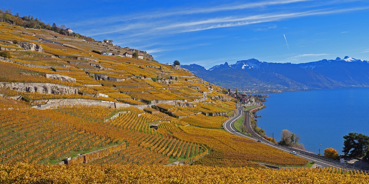 How to Buy Wine in Switzerland