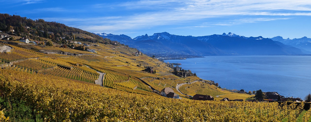 Vaud & Lavaux: Lakeside Vineyards