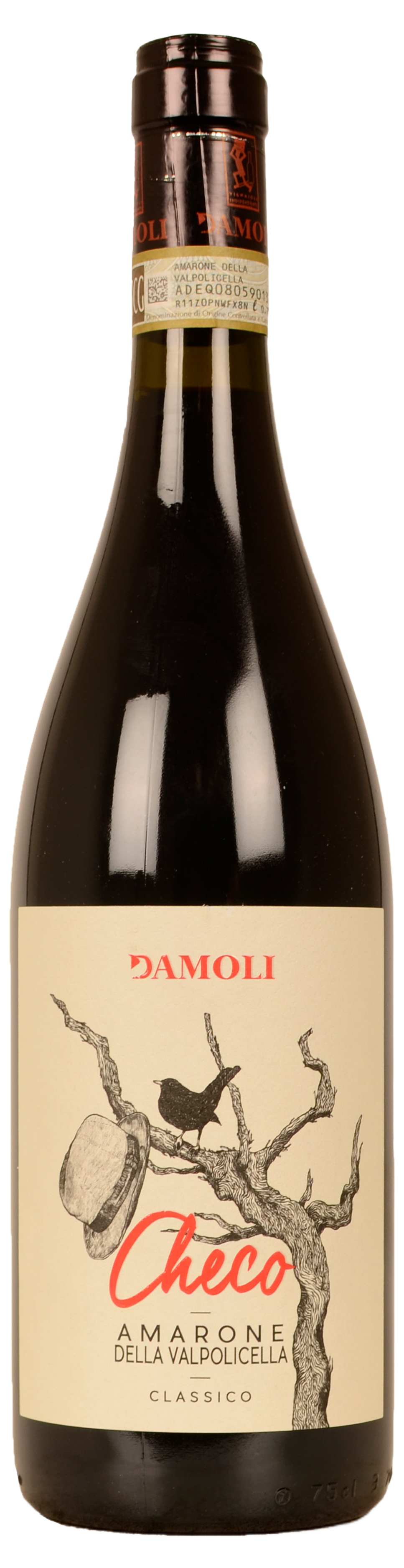 Damoli Amarone della Valpolicella Classico 2018 by Damoli